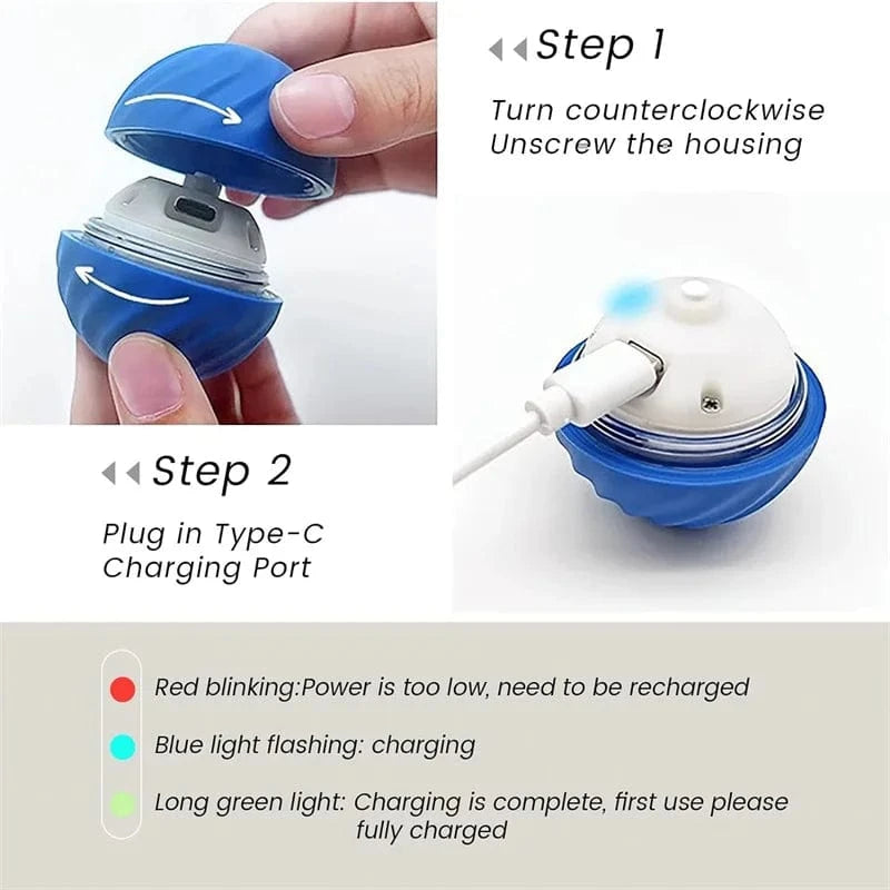 Dream Motto™ dog toys Smart Dog Toy Ball