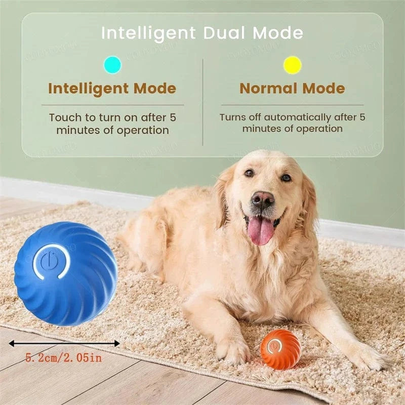 Dream Motto™ dog toys Smart Dog Toy Ball
