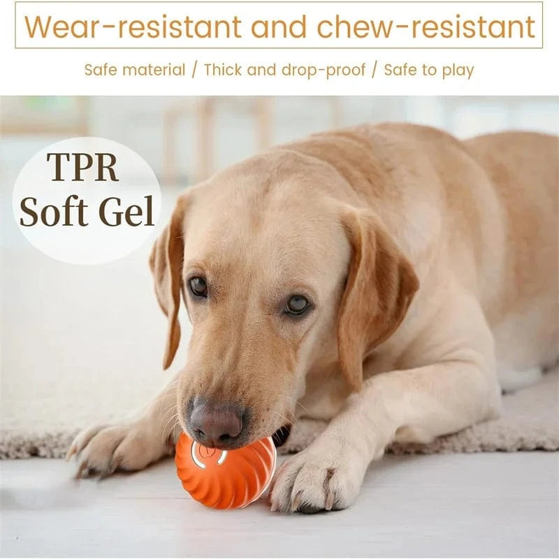 Dream Motto™ dog toys Smart Dog Toy Ball