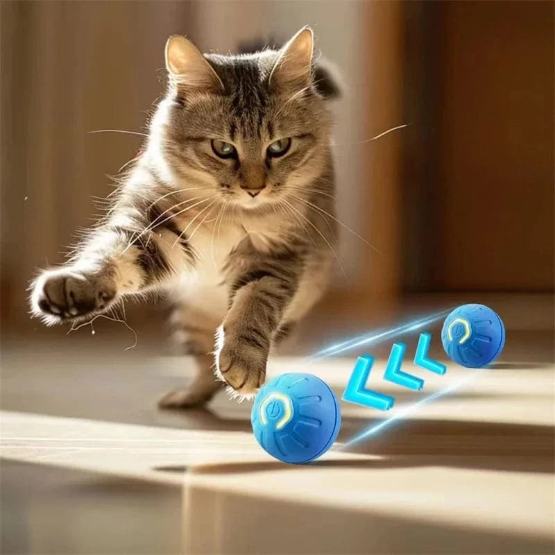 Dream Motto™ dog toys Smart Dog Toy Ball