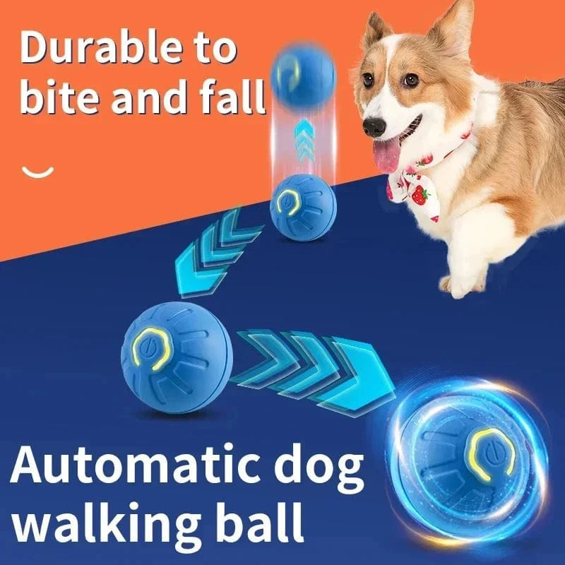 Dream Motto™ dog toys Smart Dog Toy Ball