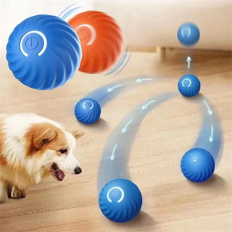 Dream Motto™ dog toys Smart Dog Toy Ball