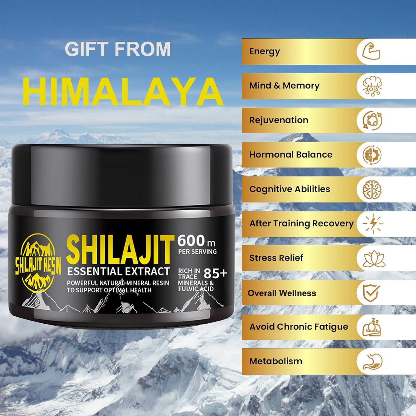 Dream Motto 🔥Himalayan Shilajit Resin, 600mg Max Potency