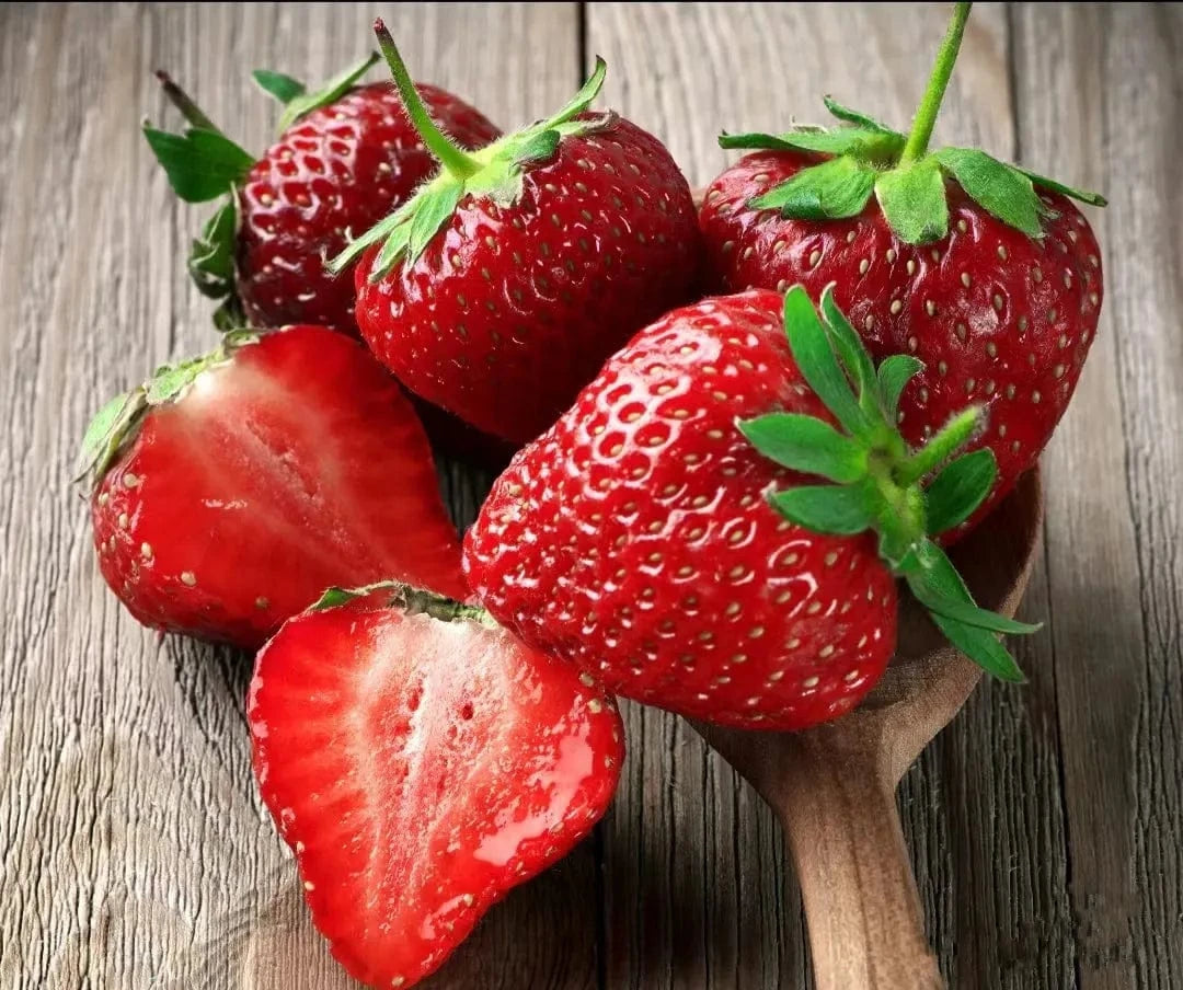 Dream Motto 🍓Last Day 50% OFF🍓Strawberry Cream Seeds