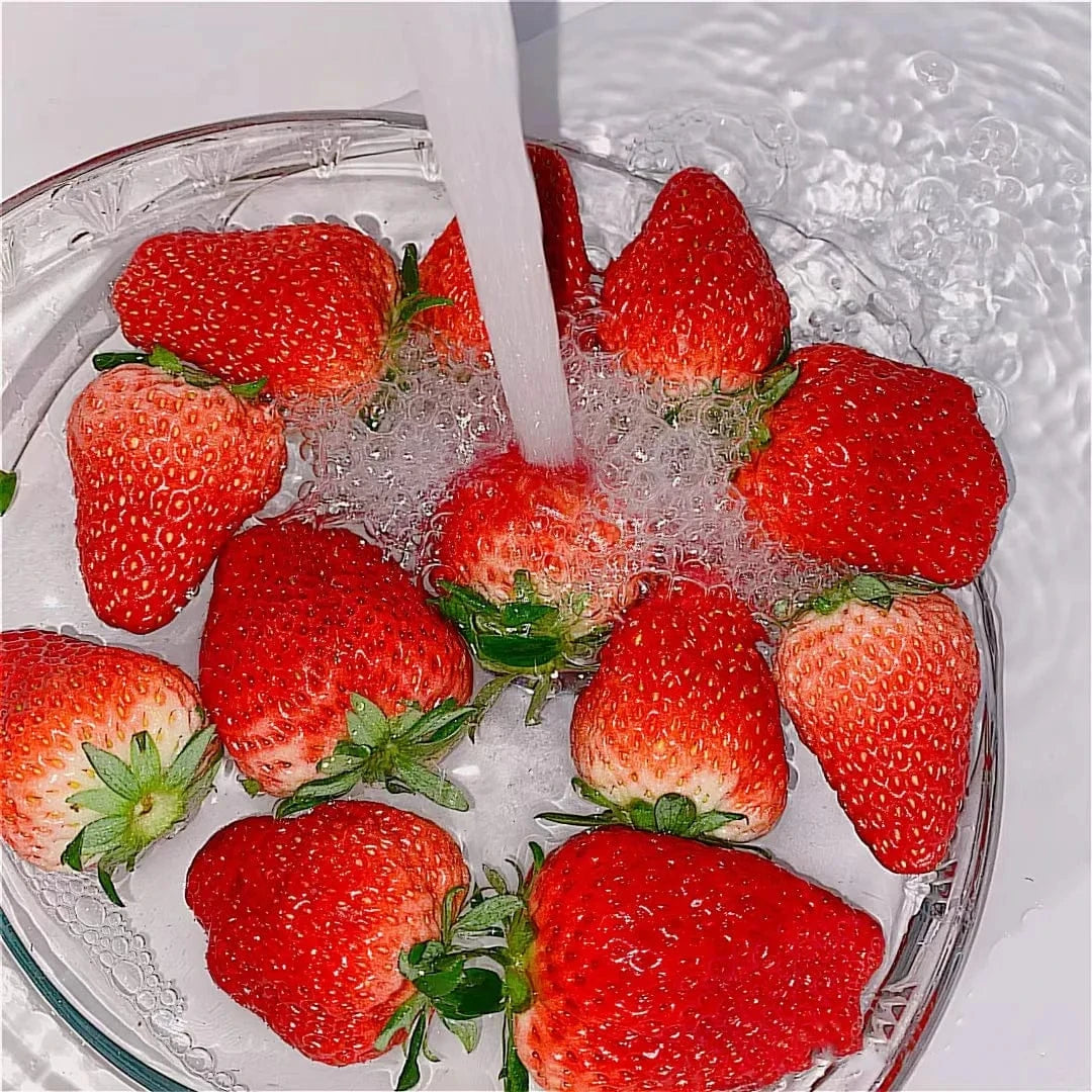 Dream Motto 🍓Last Day 50% OFF🍓Strawberry Cream Seeds