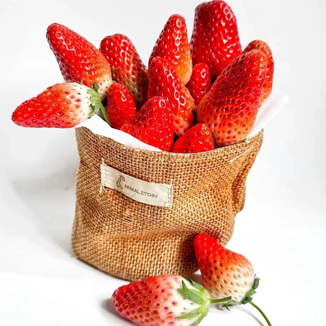 Dream Motto 🍓Last Day 50% OFF🍓Strawberry Cream Seeds