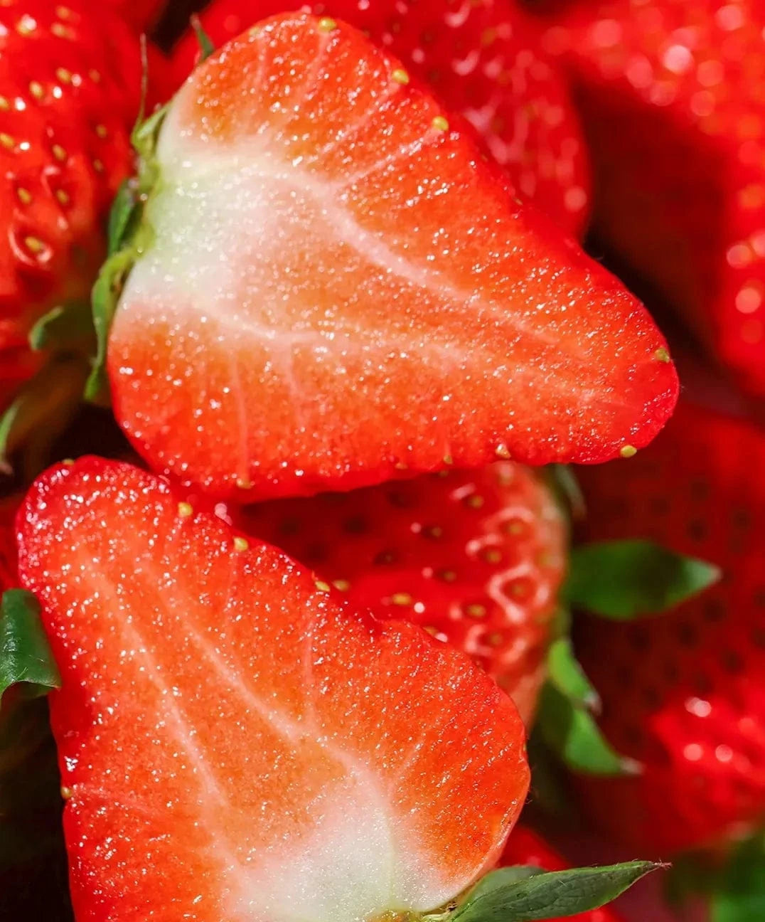 Dream Motto 🍓Last Day 50% OFF🍓Strawberry Cream Seeds
