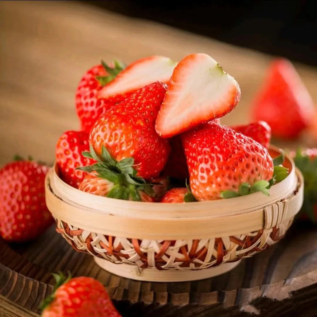 Dream Motto 🍓Last Day 50% OFF🍓Strawberry Cream Seeds