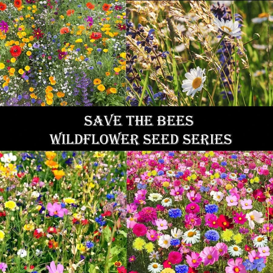 Dream Motto 🐝Save Bees Wildflower Seed Series - Pure Non-GMO Flower Seeds