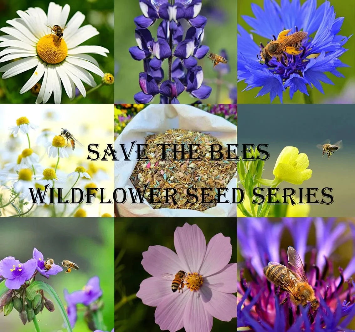Dream Motto 🐝Save Bees Wildflower Seed Series - Pure Non-GMO Flower Seeds