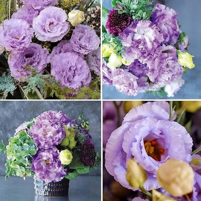 Dream Motto 🔥2025 Best Seller🔥-Lisianthus - A Sincere and Immutable Love 💐(Free Shipping over $14.99)