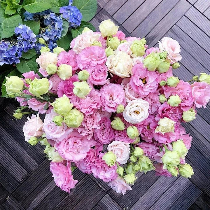 Dream Motto 🔥2025 Best Seller🔥-Lisianthus - A Sincere and Immutable Love 💐(Free Shipping over $14.99)