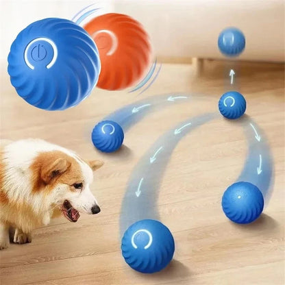 Dream Motto™ dog toys Smart Dog Toy Ball