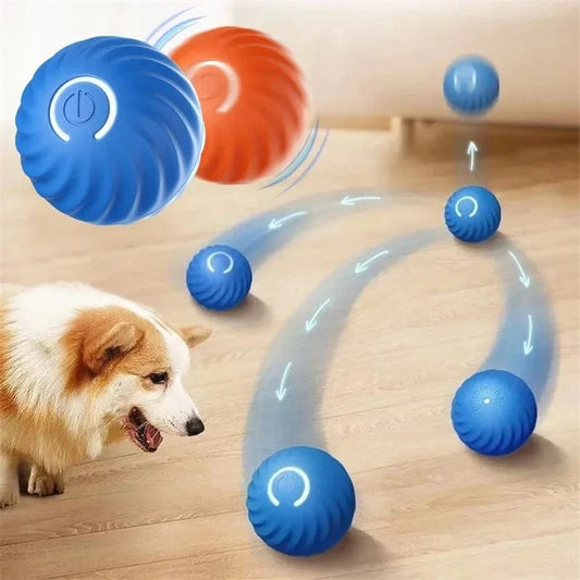 Dream Motto™ dog toys Smart Dog Toy Ball