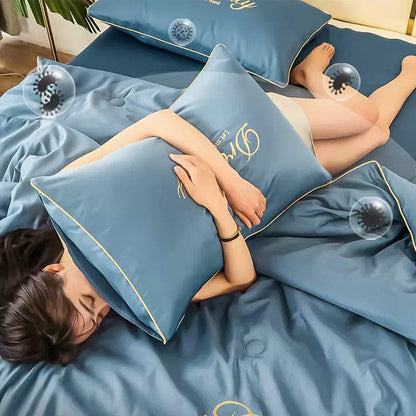 Dream Motto Houseware & Kitchen 🔥🔥Washable Summer Simple Ice Silk Quilt