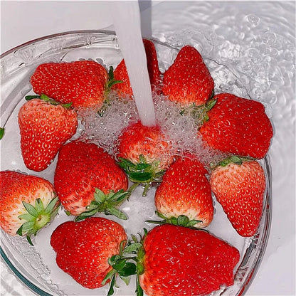Dream Motto 🍓Last Day 50% OFF🍓Strawberry Cream Seeds
