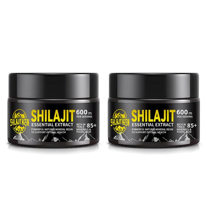 Dream Motto 🔥Pack of 2 🔥Himalayan Shilajit Resin, 600mg Max Potency
