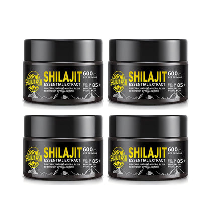 Dream Motto 🔥Pack of 4 🔥Himalayan Shilajit Resin, 600mg Max Potency