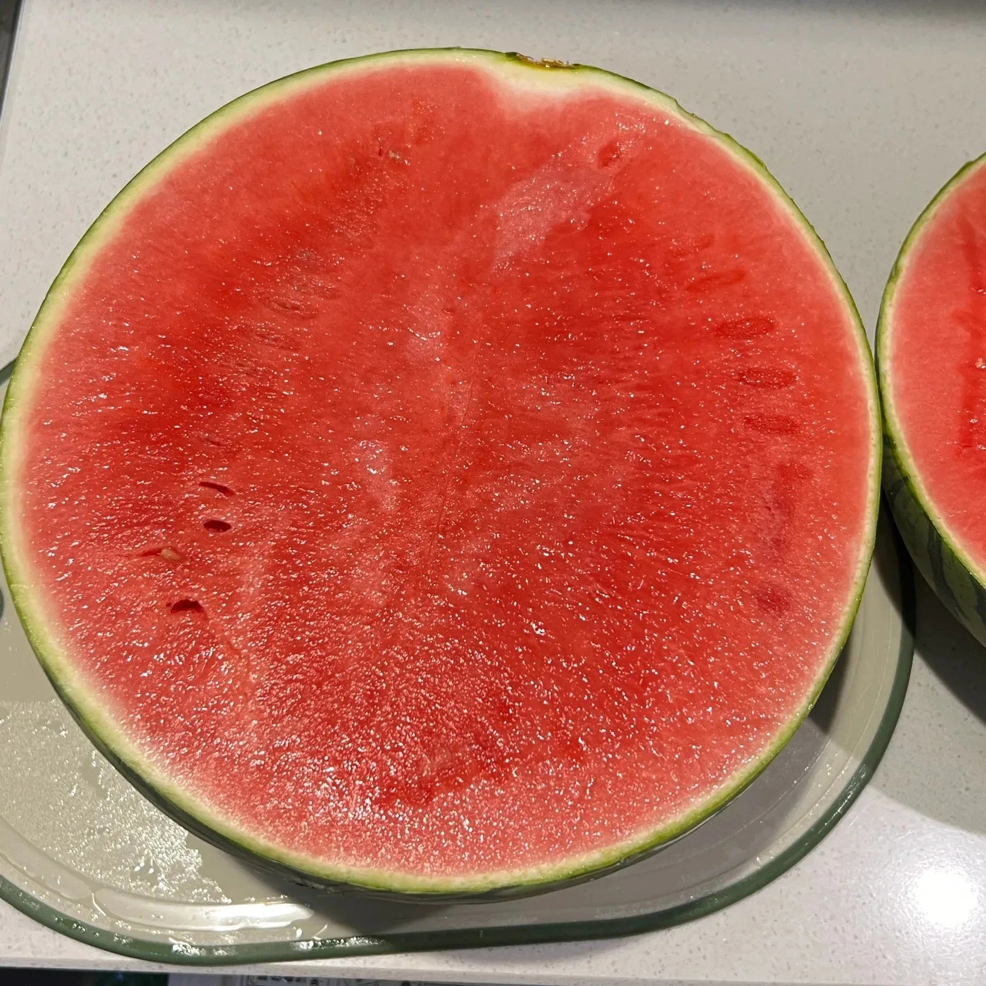 Dream Motto 🍉Ruby Watermelon Seeds - High Yield, Sweet & Juicy, Perfect for Pot Cultivation