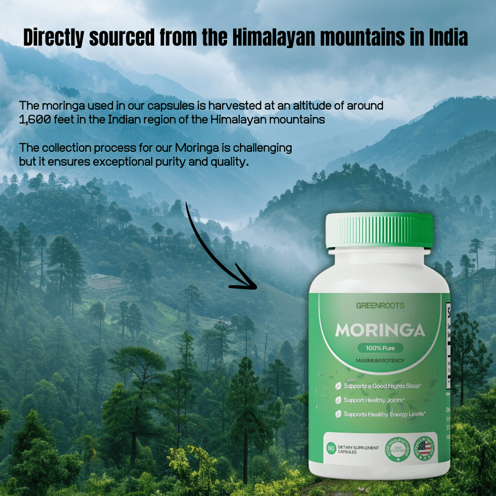 GreenRoots 🔥100% Pure Moringa Capsules (60 capsules per bottle)